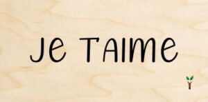 8-Je t'aime