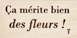 7-Ça mérite bien des fleurs