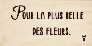 17-Pour la plus belle des fleurs
