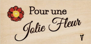 83-Pour une jolie fleur