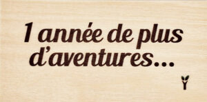 6-Une année de plus d'aventures (N°6)